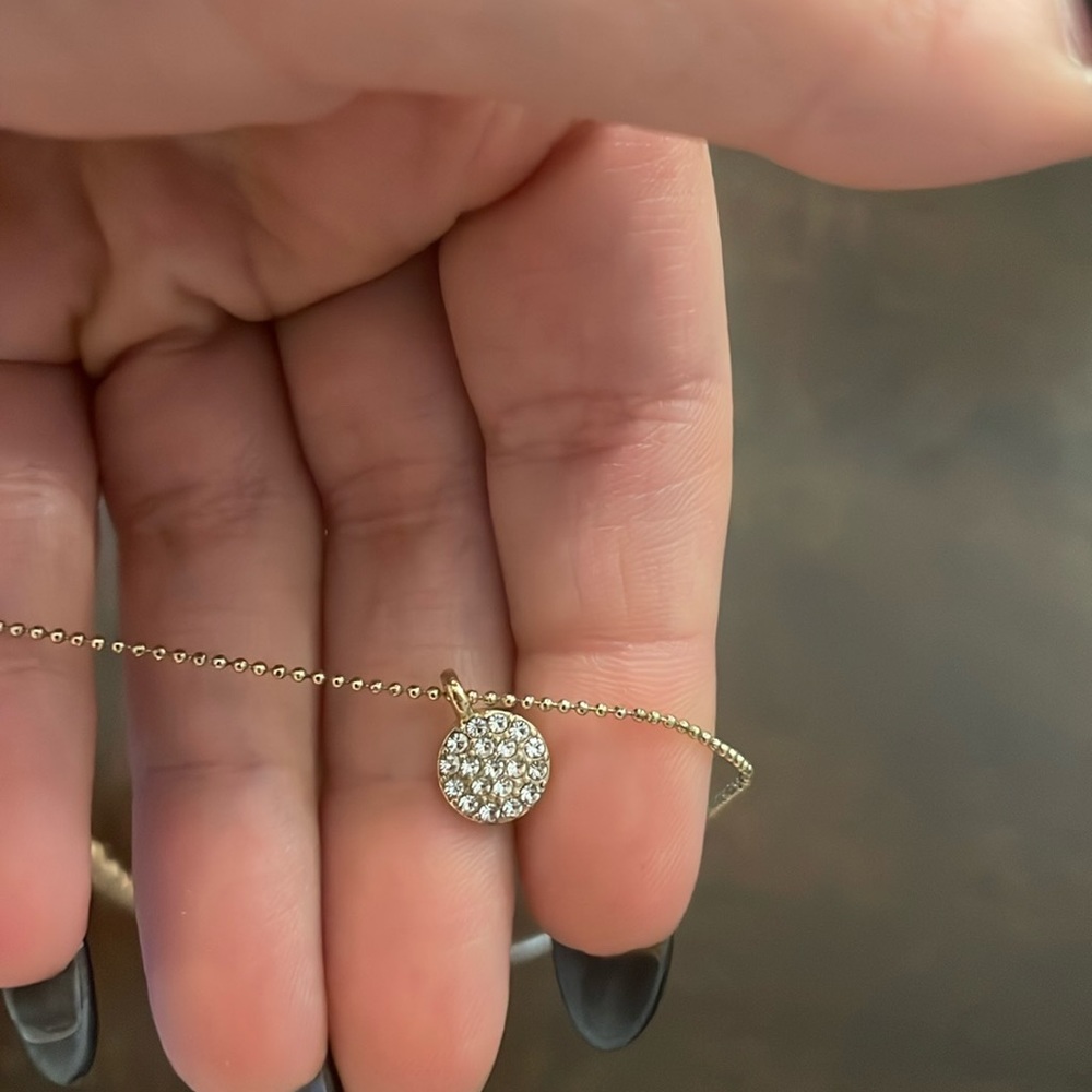Danty necklace